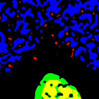 Conception