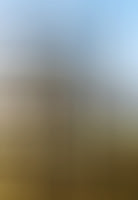 In the Mist